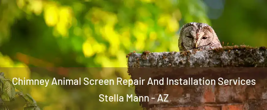 Chimney Animal Screen Repair And Installation Services Stella Mann - AZ