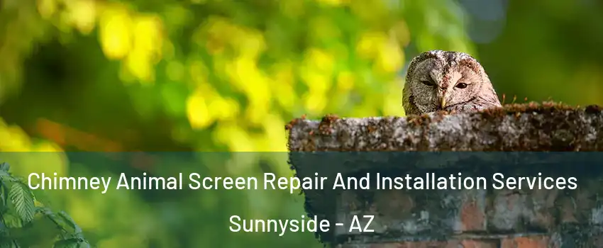 Chimney Animal Screen Repair And Installation Services Sunnyside - AZ