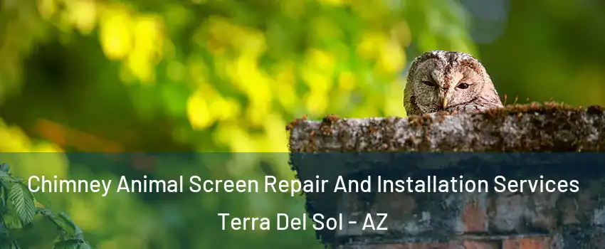 Chimney Animal Screen Repair And Installation Services Terra Del Sol - AZ