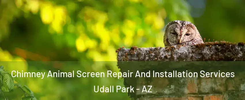 Chimney Animal Screen Repair And Installation Services Udall Park - AZ
