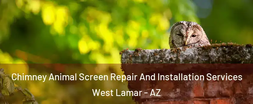 Chimney Animal Screen Repair And Installation Services West Lamar - AZ