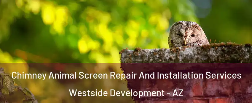 Chimney Animal Screen Repair And Installation Services Westside Development - AZ