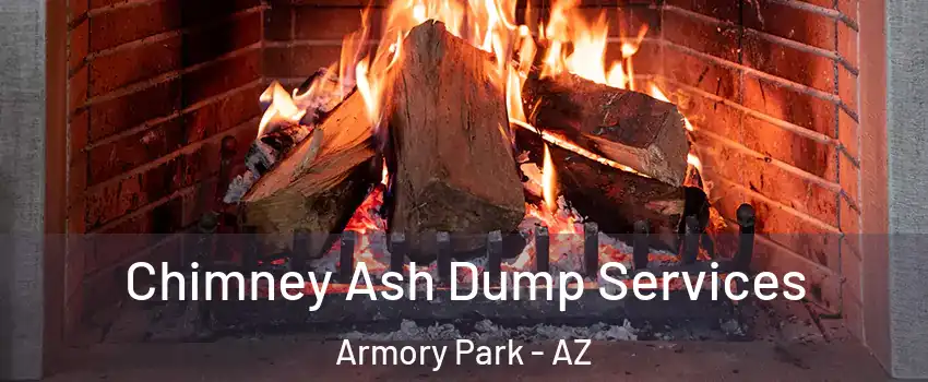 Chimney Ash Dump Services Armory Park - AZ