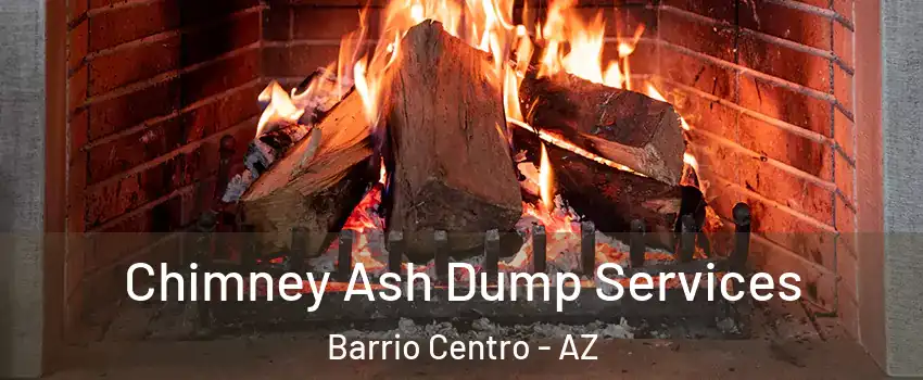 Chimney Ash Dump Services Barrio Centro - AZ