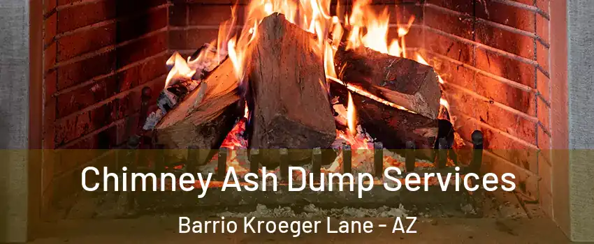 Chimney Ash Dump Services Barrio Kroeger Lane - AZ