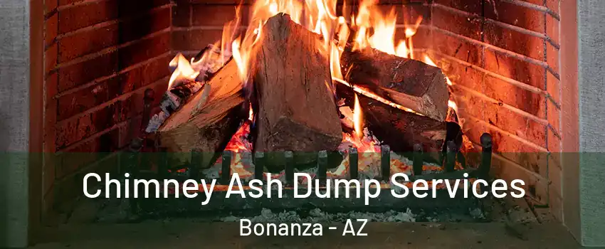 Chimney Ash Dump Services Bonanza - AZ