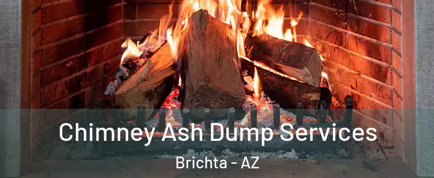 Chimney Ash Dump Services Brichta - AZ