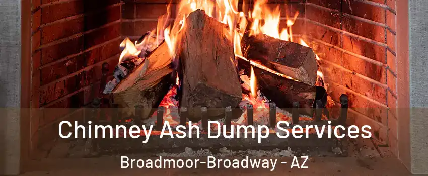 Chimney Ash Dump Services Broadmoor-Broadway - AZ