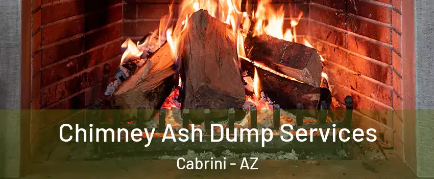 Chimney Ash Dump Services Cabrini - AZ