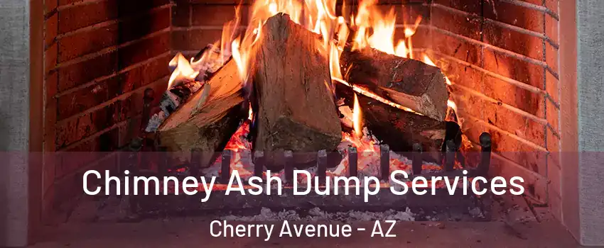 Chimney Ash Dump Services Cherry Avenue - AZ
