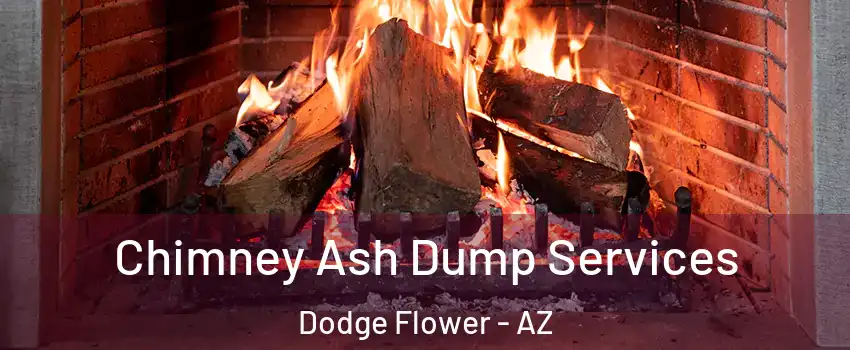 Chimney Ash Dump Services Dodge Flower - AZ