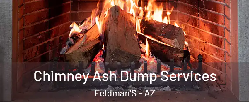 Chimney Ash Dump Services Feldman'S - AZ