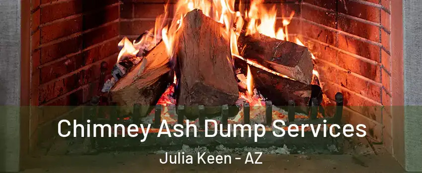 Chimney Ash Dump Services Julia Keen - AZ