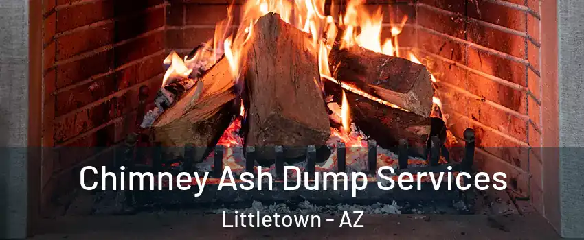 Chimney Ash Dump Services Littletown - AZ