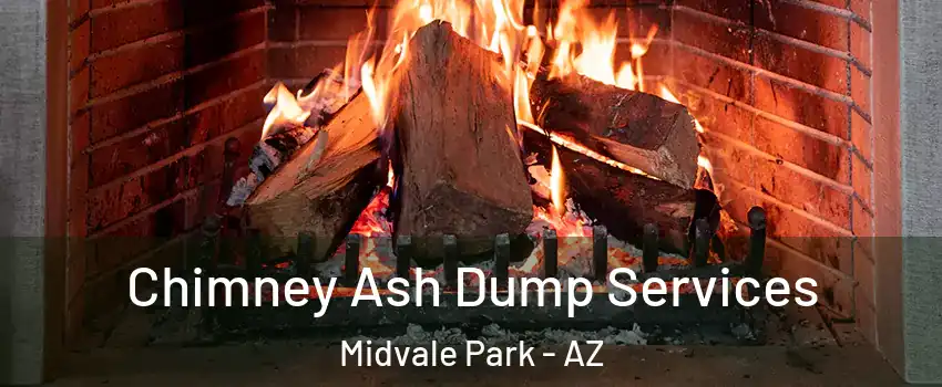 Chimney Ash Dump Services Midvale Park - AZ