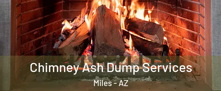 Chimney Ash Dump Services Miles - AZ