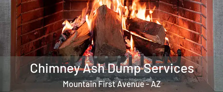 Chimney Ash Dump Services Mountain First Avenue - AZ