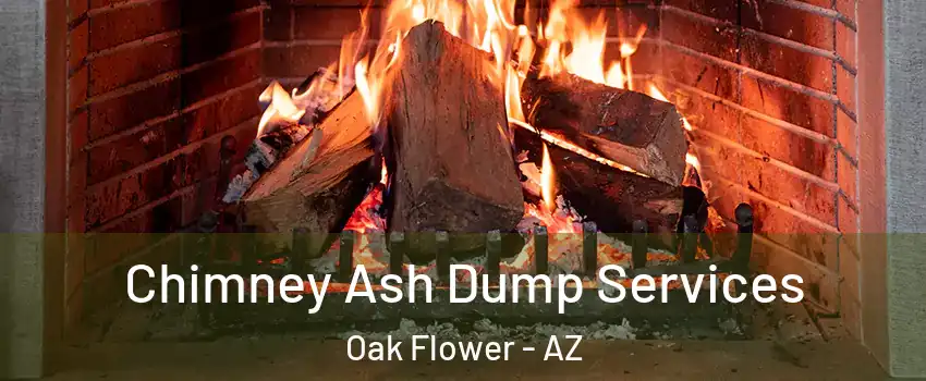 Chimney Ash Dump Services Oak Flower - AZ