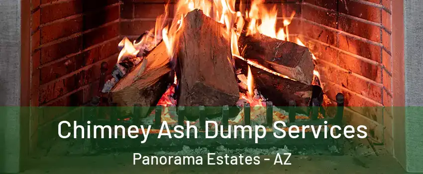 Chimney Ash Dump Services Panorama Estates - AZ