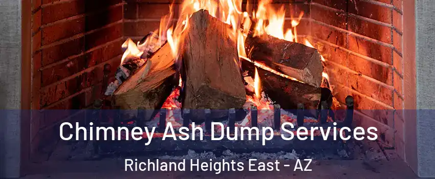 Chimney Ash Dump Services Richland Heights East - AZ