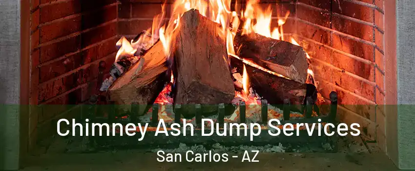 Chimney Ash Dump Services San Carlos - AZ