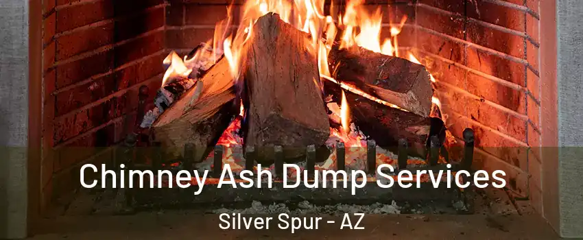 Chimney Ash Dump Services Silver Spur - AZ