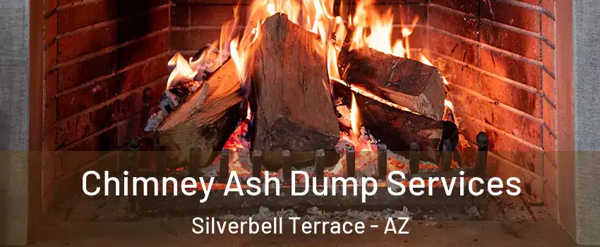 Chimney Ash Dump Services Silverbell Terrace - AZ
