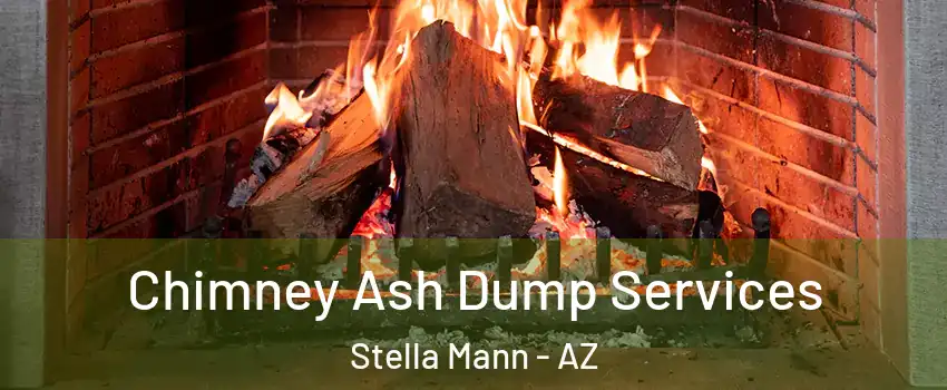 Chimney Ash Dump Services Stella Mann - AZ