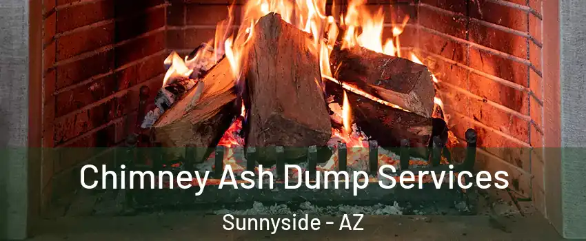 Chimney Ash Dump Services Sunnyside - AZ