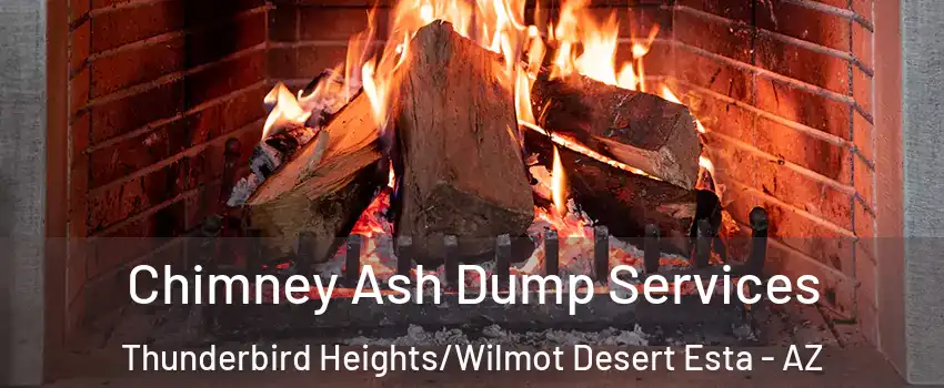 Chimney Ash Dump Services Thunderbird Heights/Wilmot Desert Esta - AZ