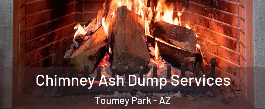 Chimney Ash Dump Services Toumey Park - AZ