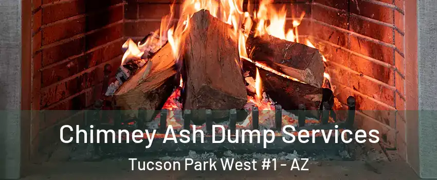 Chimney Ash Dump Services Tucson Park West #1 - AZ