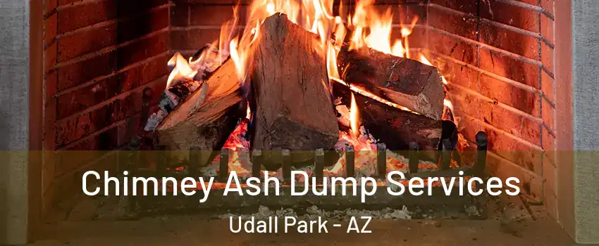 Chimney Ash Dump Services Udall Park - AZ