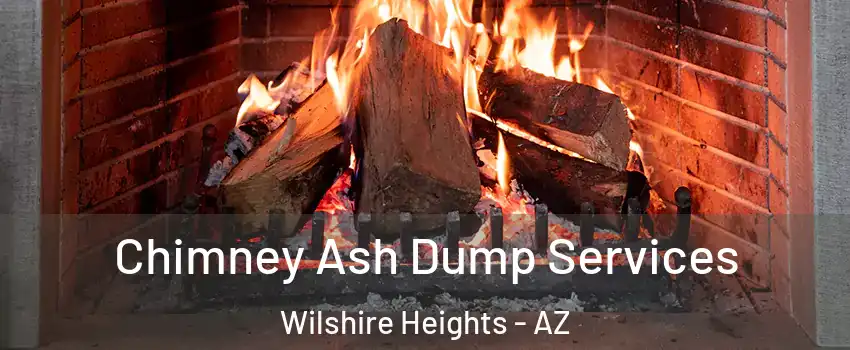 Chimney Ash Dump Services Wilshire Heights - AZ
