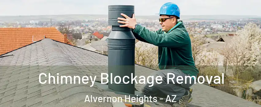 Chimney Blockage Removal Alvernon Heights - AZ