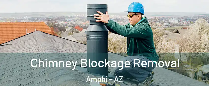 Chimney Blockage Removal Amphi - AZ