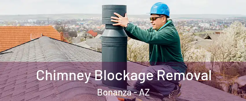Chimney Blockage Removal Bonanza - AZ