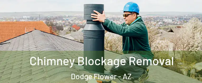 Chimney Blockage Removal Dodge Flower - AZ