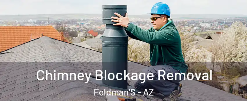 Chimney Blockage Removal Feldman'S - AZ
