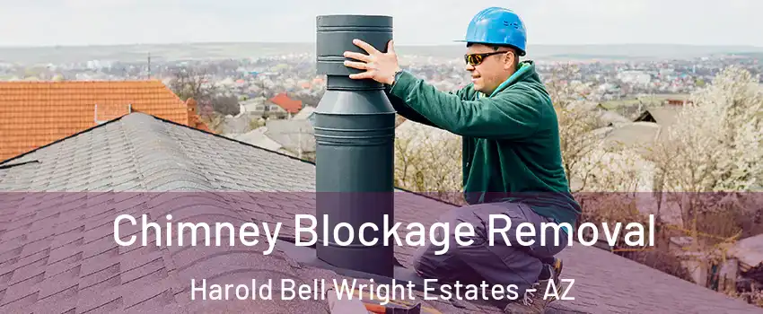 Chimney Blockage Removal Harold Bell Wright Estates - AZ