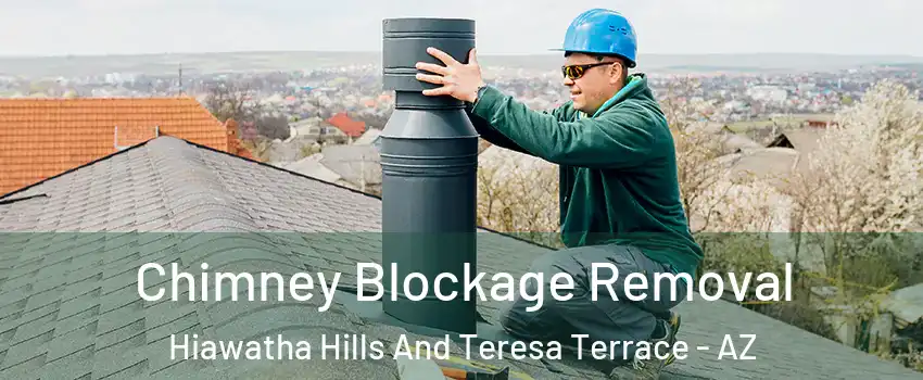 Chimney Blockage Removal Hiawatha Hills And Teresa Terrace - AZ