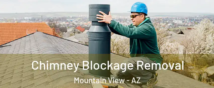 Chimney Blockage Removal Mountain View - AZ