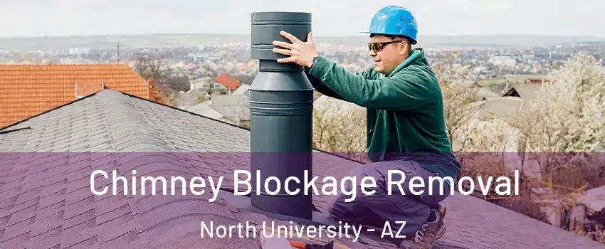 Chimney Blockage Removal North University - AZ