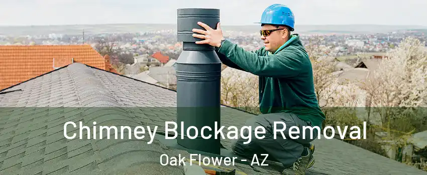 Chimney Blockage Removal Oak Flower - AZ
