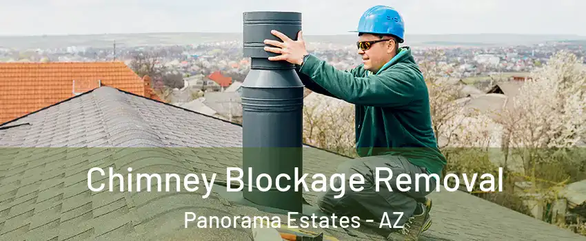 Chimney Blockage Removal Panorama Estates - AZ