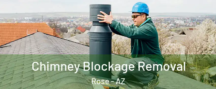 Chimney Blockage Removal Rose - AZ