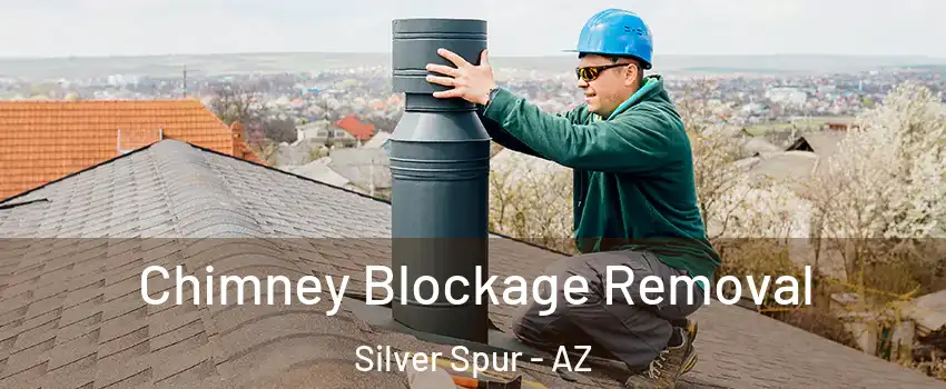 Chimney Blockage Removal Silver Spur - AZ