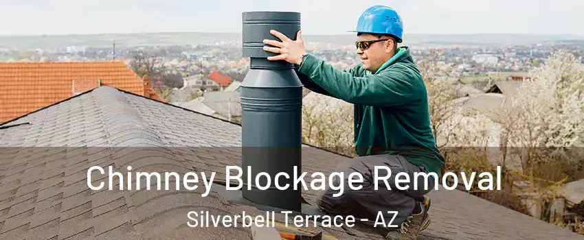 Chimney Blockage Removal Silverbell Terrace - AZ