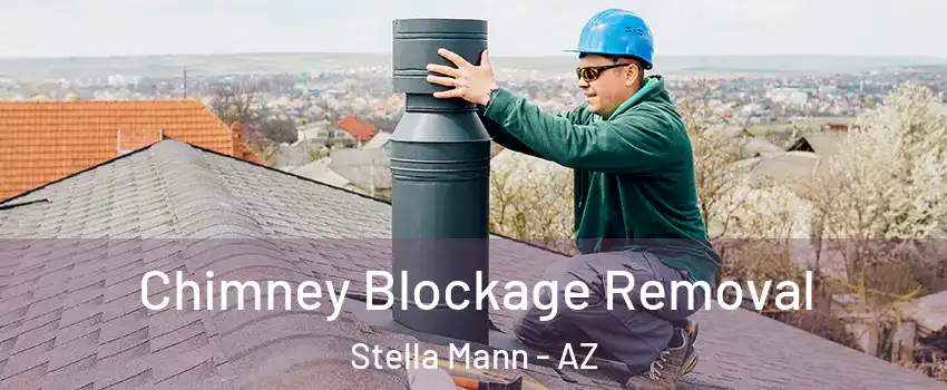 Chimney Blockage Removal Stella Mann - AZ