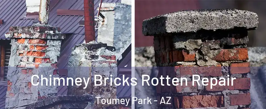 Chimney Bricks Rotten Repair Toumey Park - AZ